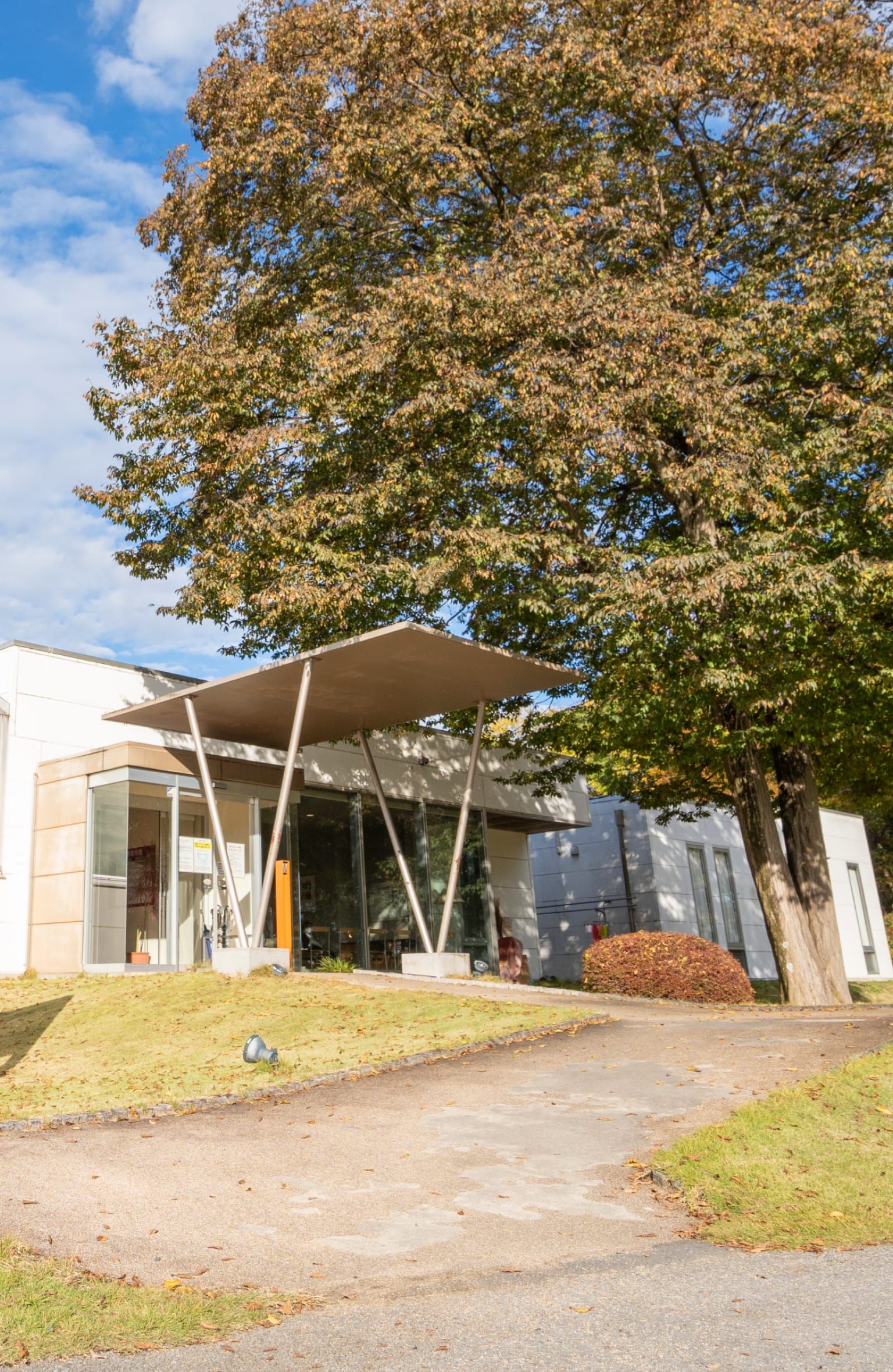 中央クリニック